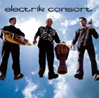 GUILLERMO CIDES/ ELECTRIK CONCORT