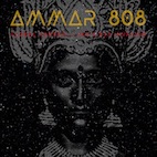 アマール808/グローバル・コントロール/インヴィジブル・インヴェイジョン (LP)