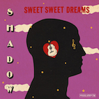 シャドウ a.k.a. ウィンストン・ベイリー/スウィート・スウィート・ドリームズ(LP)