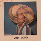 アリ・ロボ/1958-1966(LP)