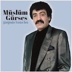 ミュスリュム・ギュルセス/ユレイムデン・ヴルドゥン・ベニ(CD)